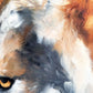 Wolf profile
