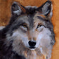 The guardian