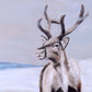 Whispers of winter